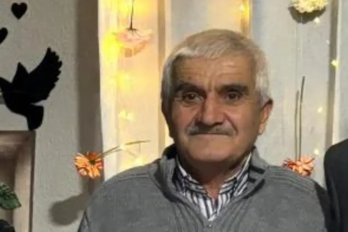 Ormanda gezdiği sırada avcı kurşununa kurban gitti!