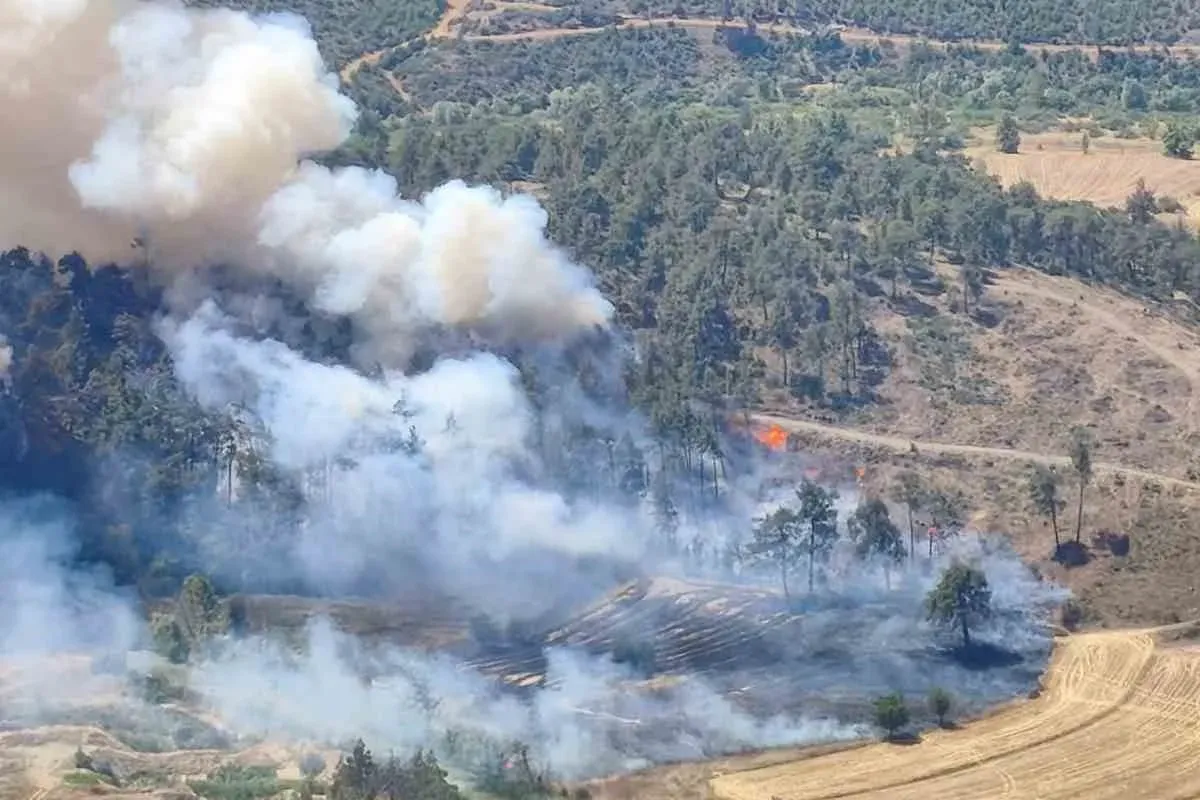 Bursa’da otluk alanda çıkan yangın ormana sıçradı
