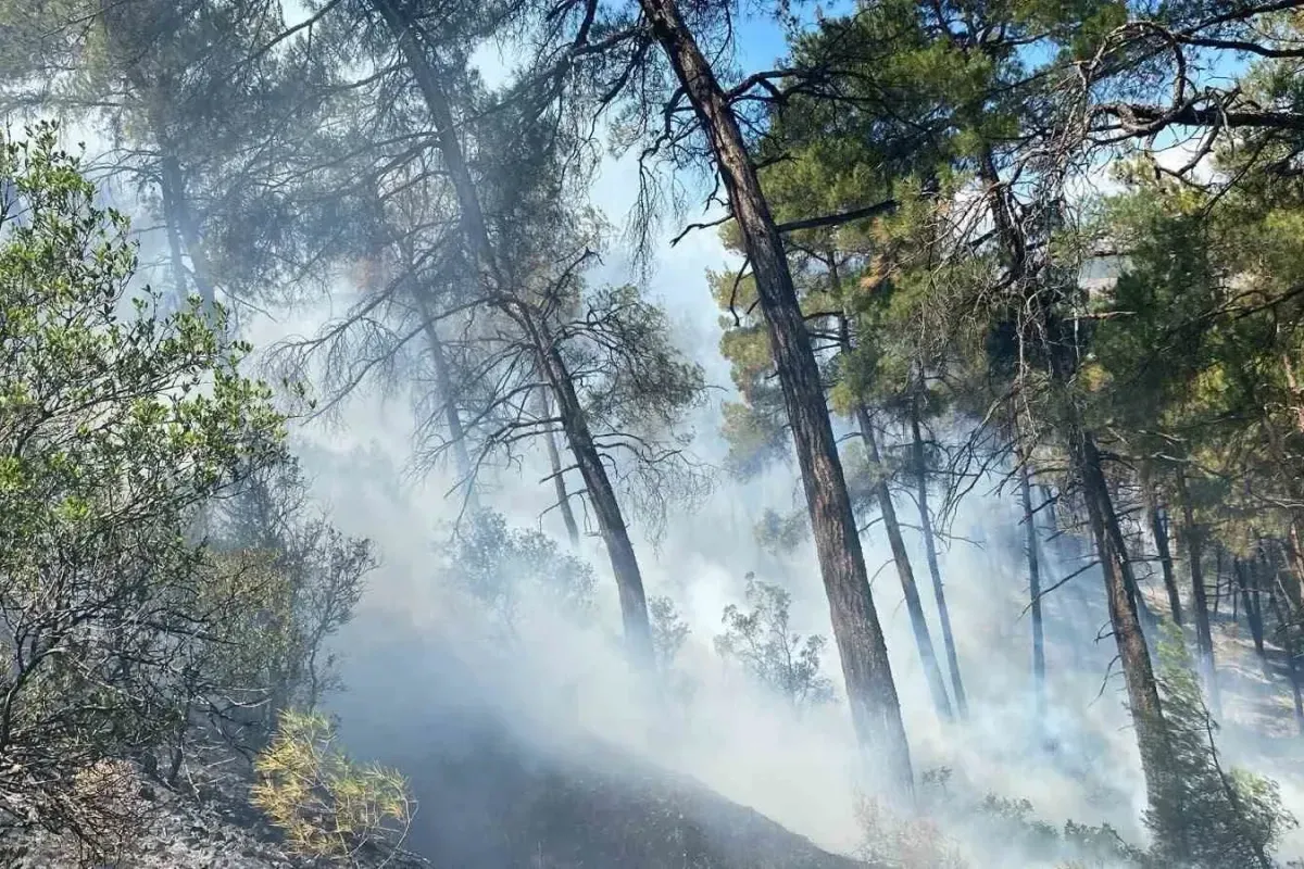 Bursa'da Orman Yangını Alarmı! Kuvvetli Rüzgar Öncesi Kritik Uyarı
