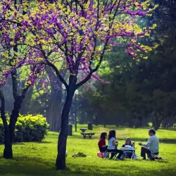 Bursa'da Hafta Sonu Piknik Yapılacak En Güzel 7 Yer