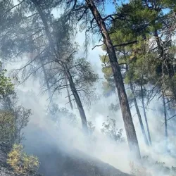 Bursa'da Orman Yangını Alarmı! Kuvvetli Rüzgar Öncesi Kritik Uyarı