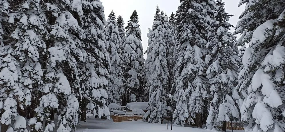 Bursa'ya kış geri geliyor!